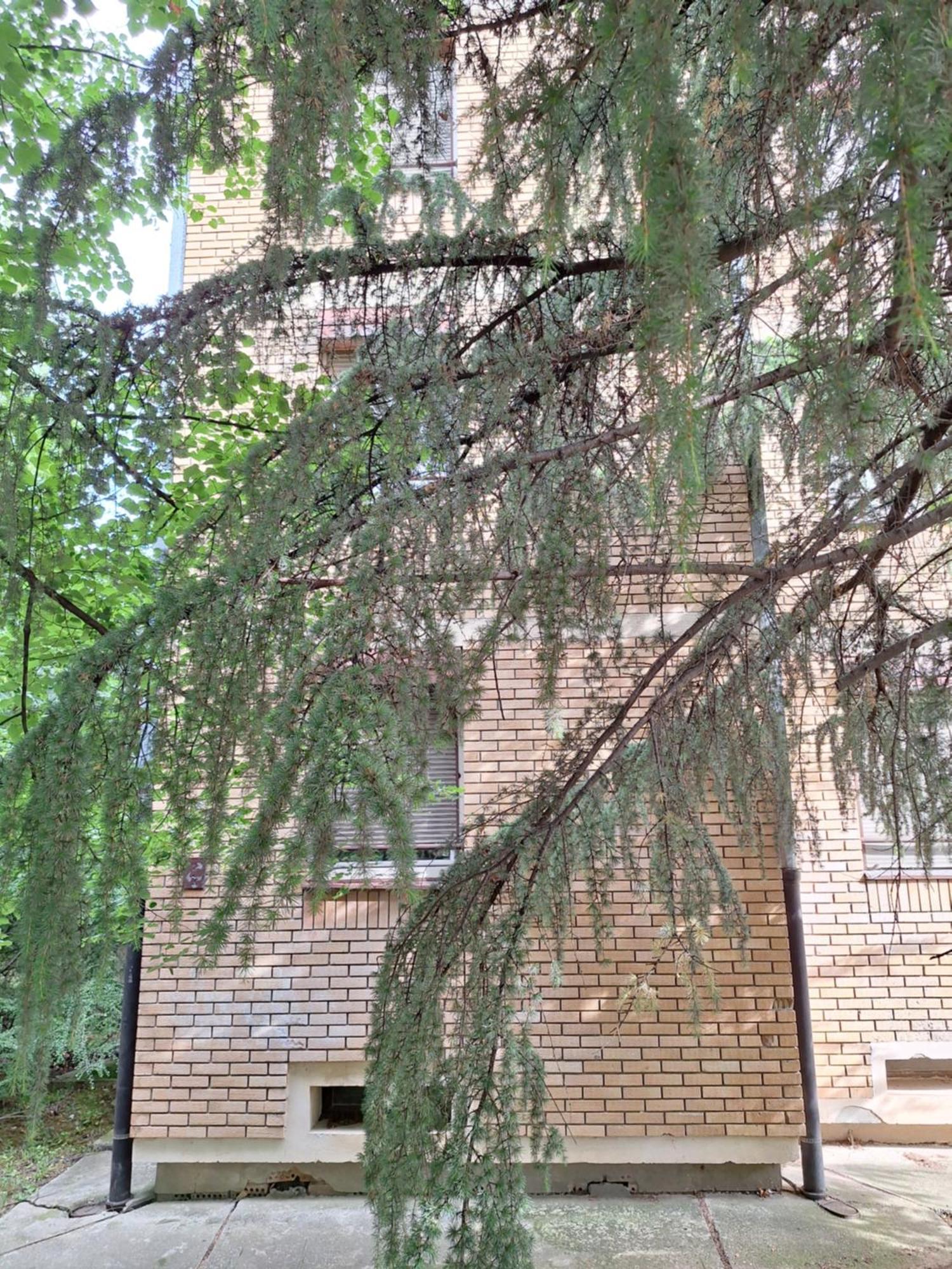 Rivijera Green بلغراد المظهر الخارجي الصورة
